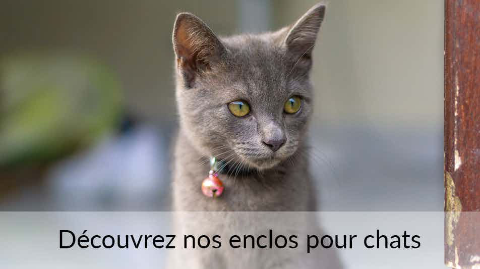 Enclos Pour Chat Chatterie Et Niche Pour Chat