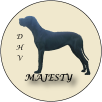 Elevage DARK-HOPVAL-MAJESTY Dogue allemand