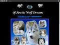 ElevageOF ARCTIC WOLF DREAM Siberian Husky *