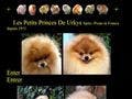 Elevage LES PETITS PRINCES DE URKYS Spitz *