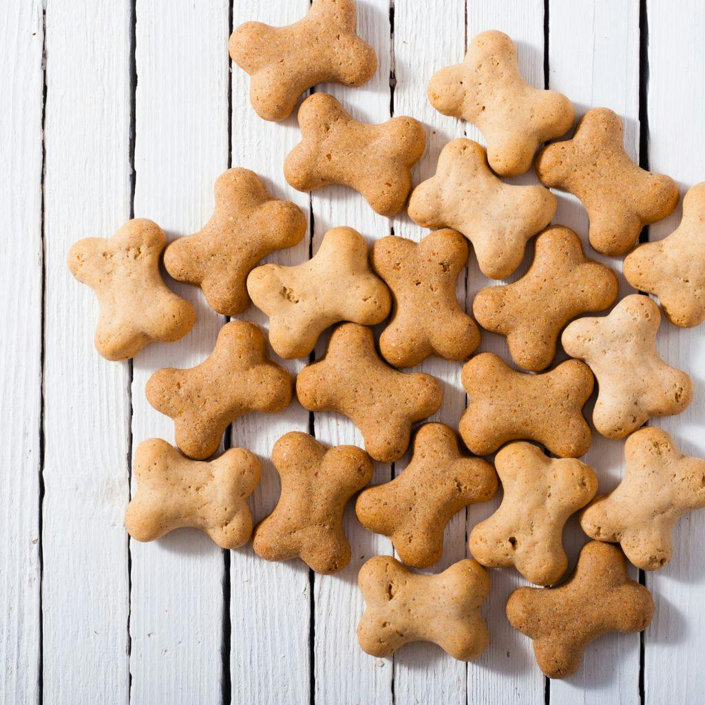 Des biscuits et des gâteaux secs pour son chien