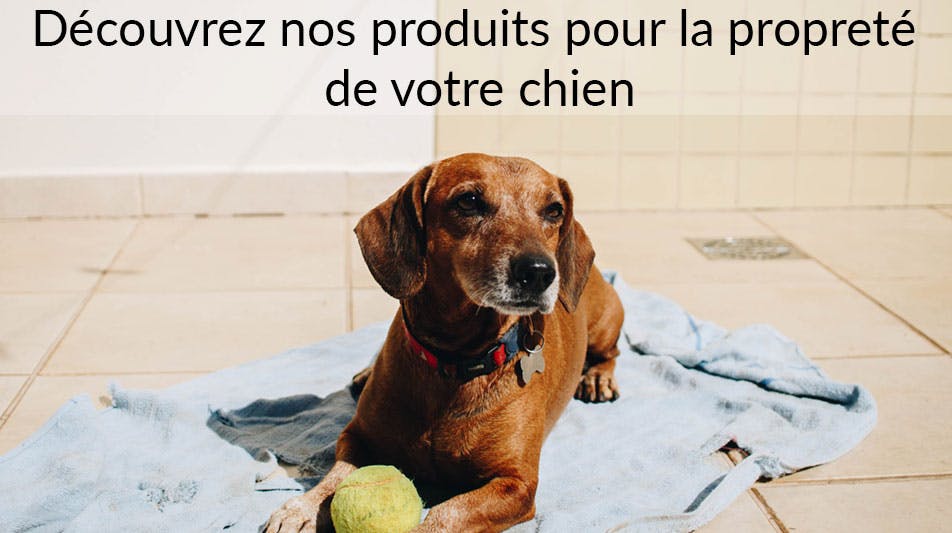 Produits pour déjections, propreté du chien et incontinence