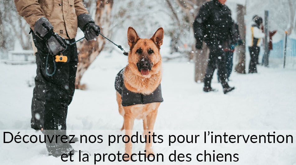 Matériel de protection et capture des chiens