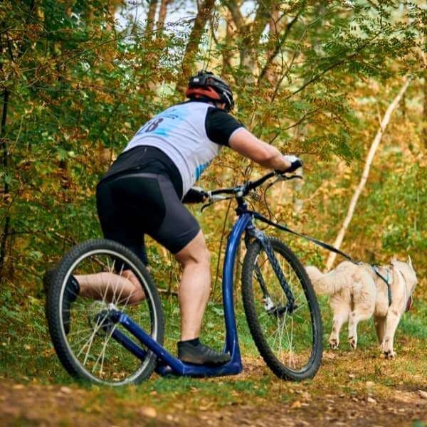 Cani-trottinette