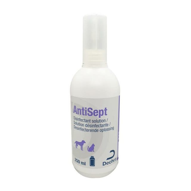 Antiseptique pour chien et chat : Chlorhexidine Antisept