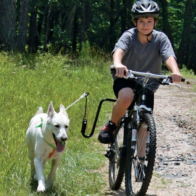 Attache vélo universelle Springer