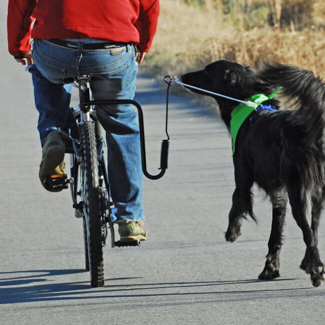 Attache vélo universelle Springer