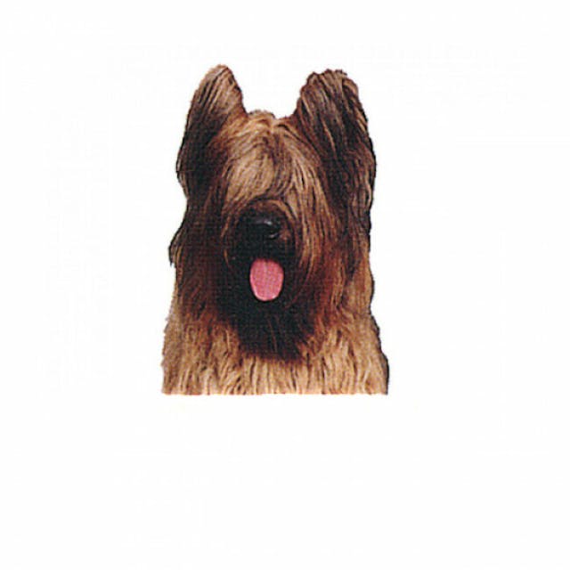 Autocollant race Briard Fauve