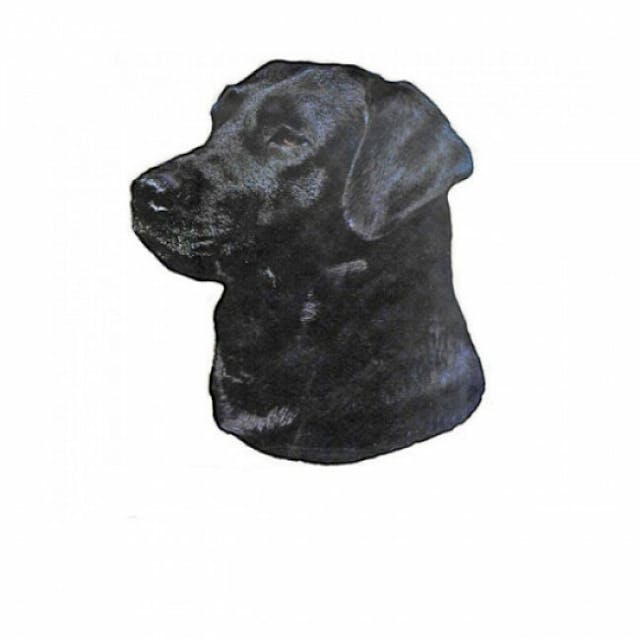 Autocollant race Labrador Noir