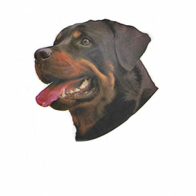 Autocollant race Rottweiler