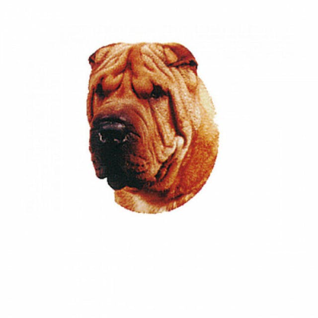 Autocollant race Shar Pei