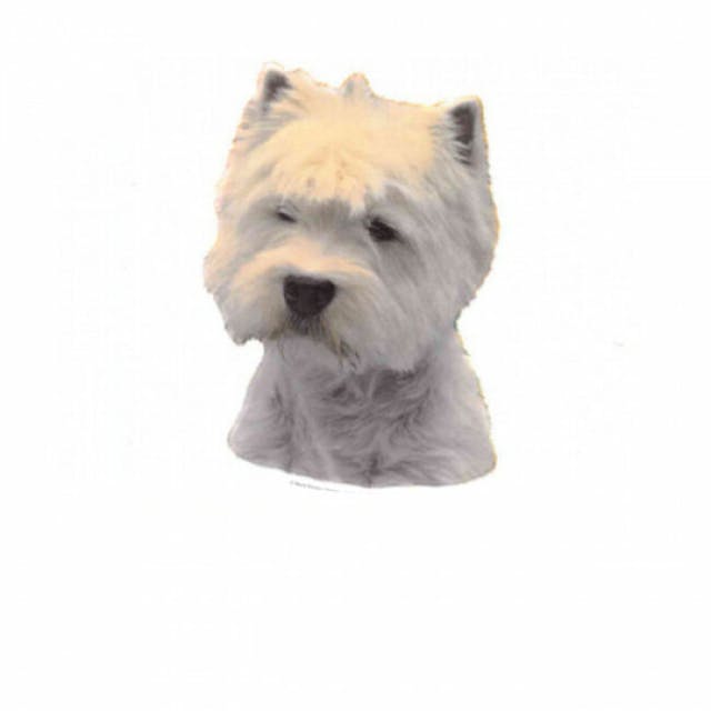 Autocollant race Westie Higland Terrier