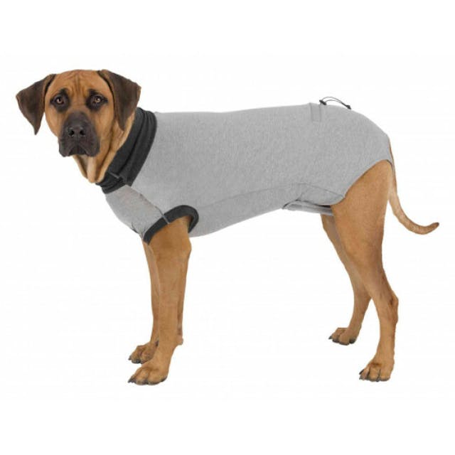 Body de protection gris pour chien Trixie