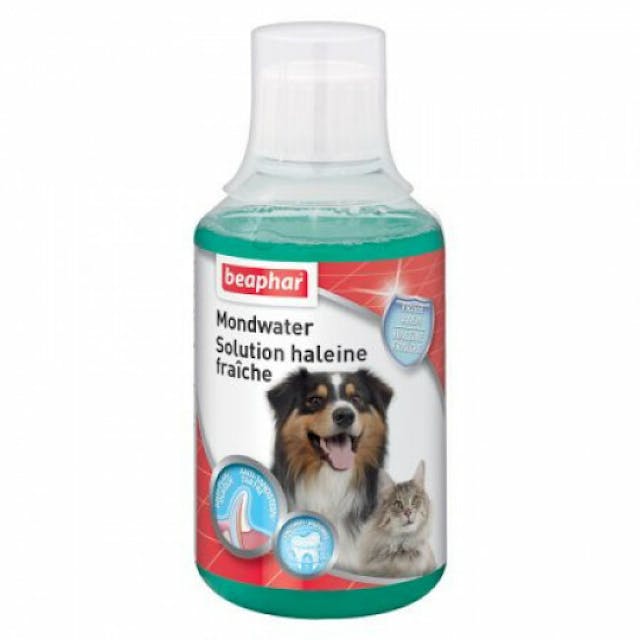 Solution haleine fraîche pour chien et chat Beaphar