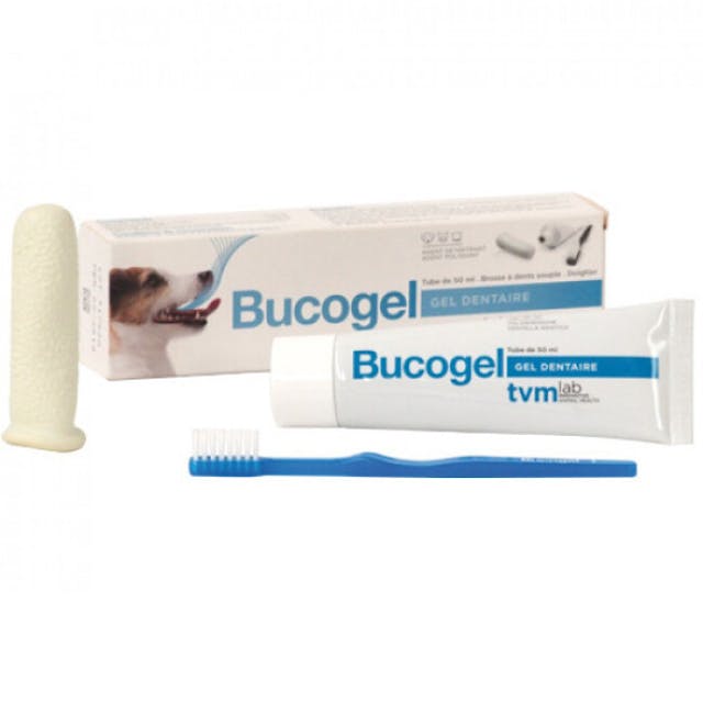 Bucogel dentaire pour chien et chat