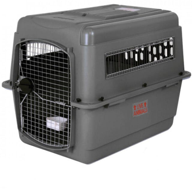 SKY KENNEL Cage de transport aux normes IATA pour chien