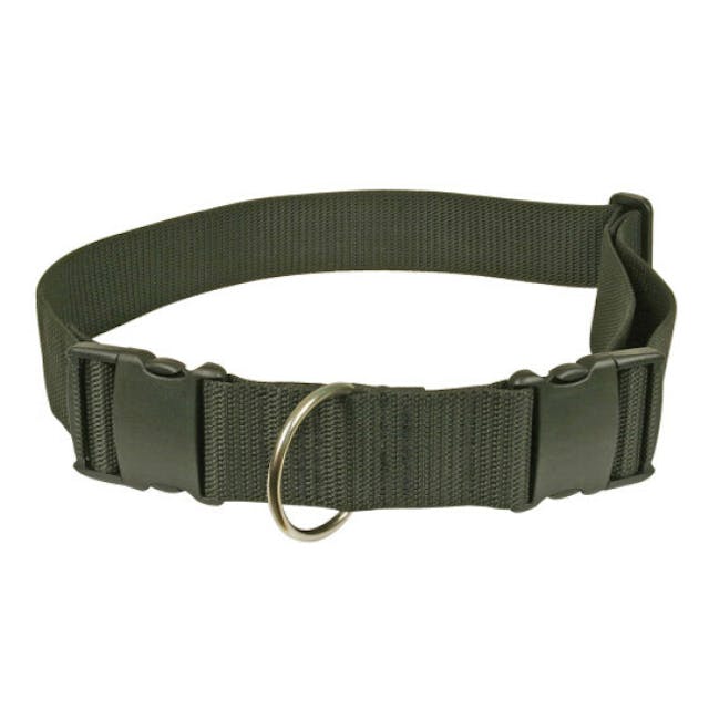 Ceinture Kn'1 canicross simple