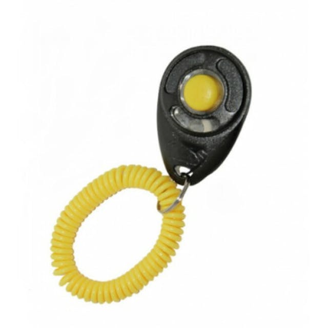 Clicker son moyen Starmark pour dressage chien