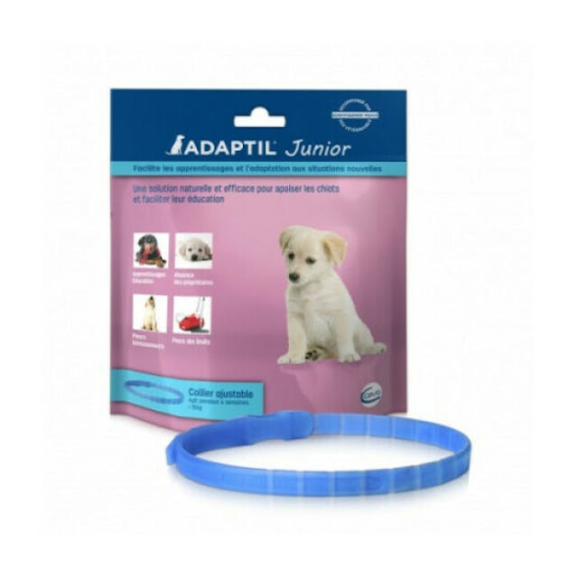 Collier anti-stress Adaptil Junior pour chiot