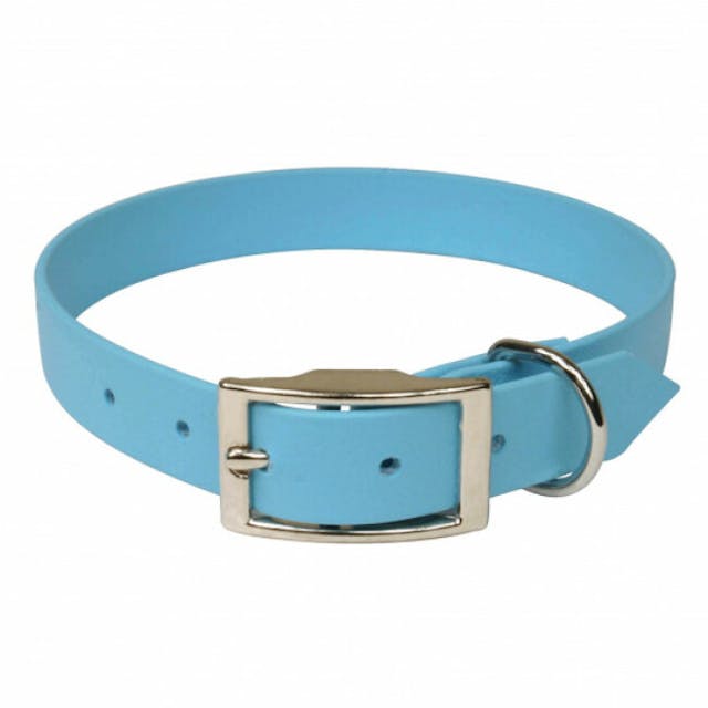 Collier bleu en Biothane pour chien