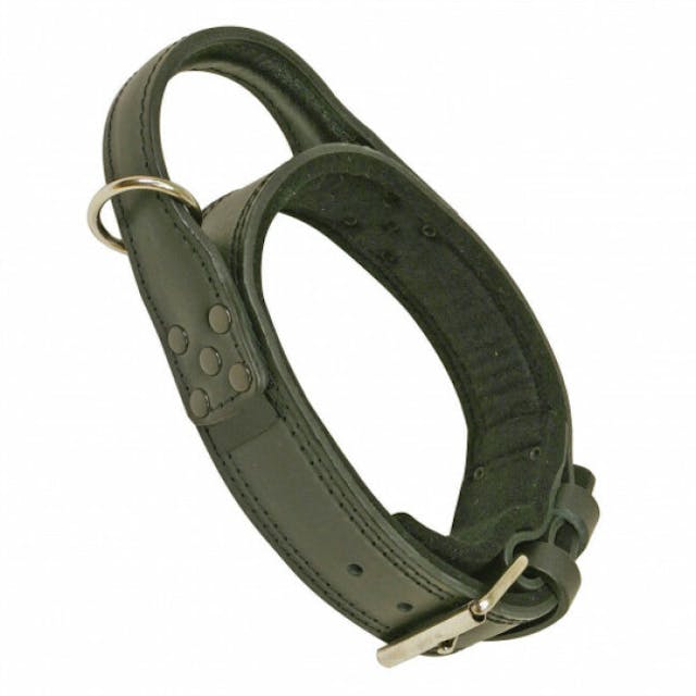 Collier cuir pour chien d'intervention