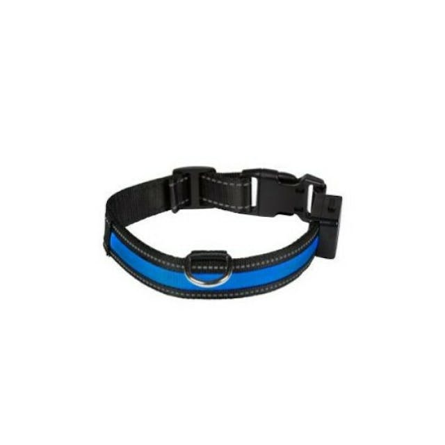 Collier lumineux rechargeable Eyenimal bleu pour chien