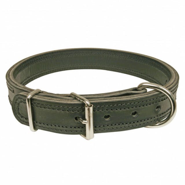 Collier noir en cuir pour chien Dog Extreme