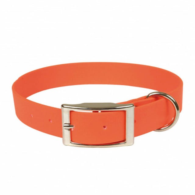 Collier orange fluo riveté en Biothane pour chien