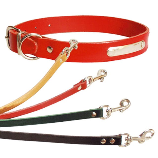 Collier réglable en cuir simple pour chien