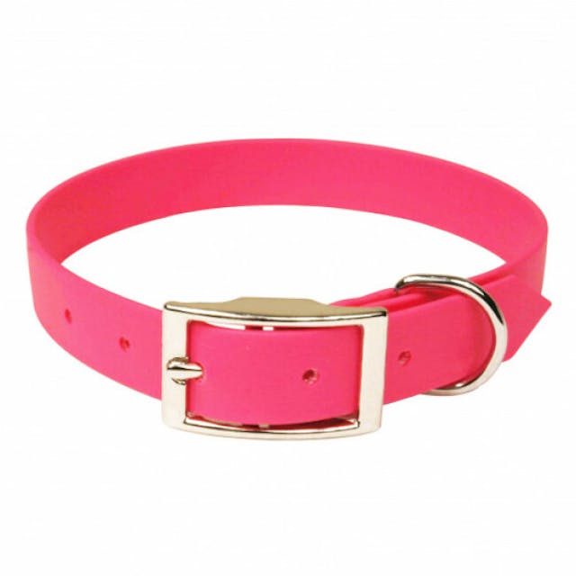 Collier rose en Biothane pour chien