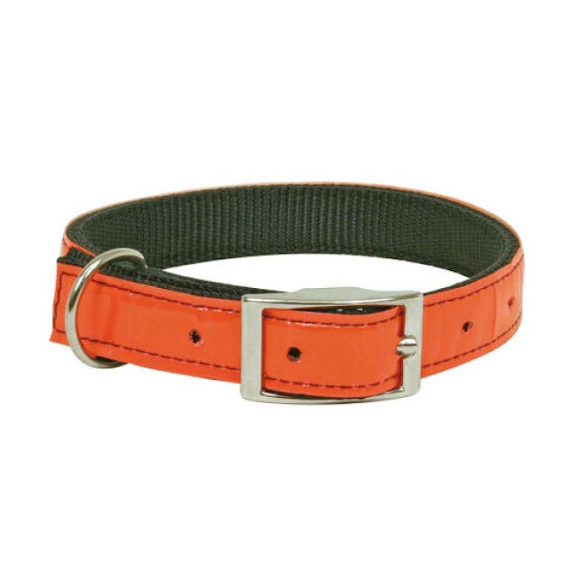 Collier rétro-réfléchissant pour chien