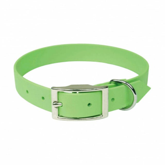 Collier vert en Biothane pour chien