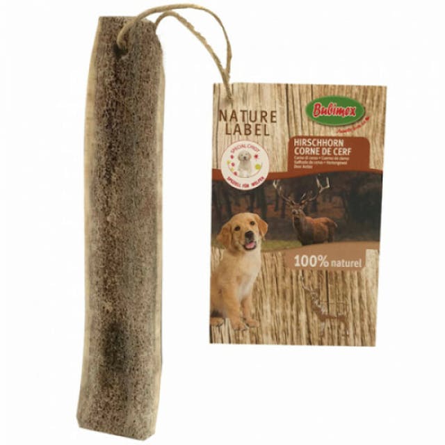 Corne de cerf pour chien