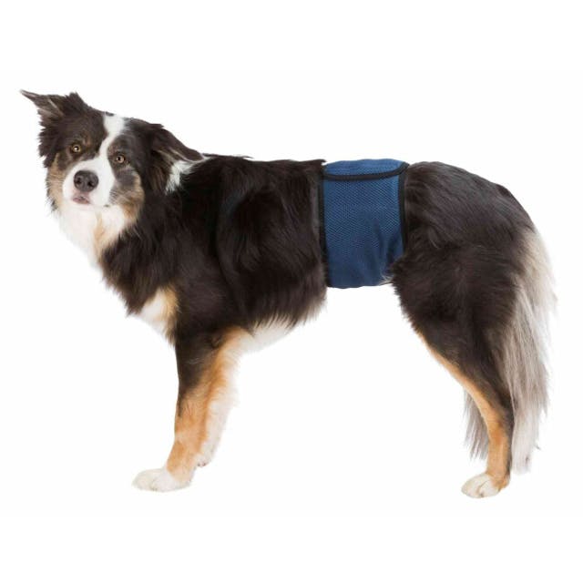 Couche lavable pour chien mâle