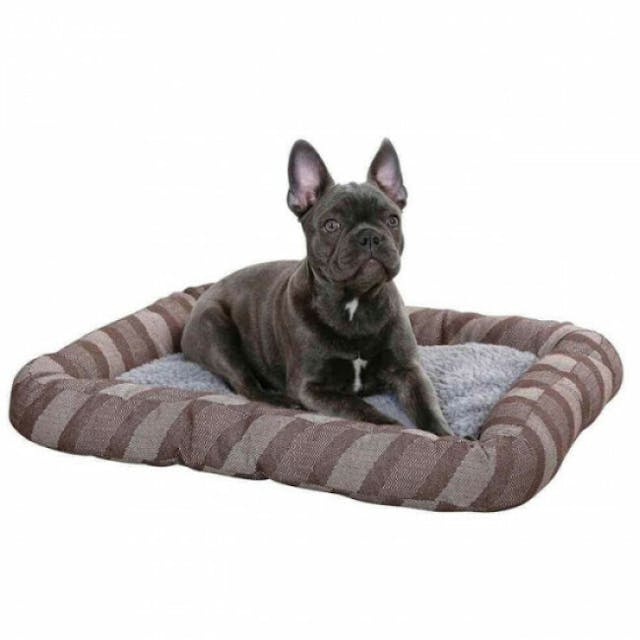 Coussin pour chien Pablo auto chauffant Kerbl