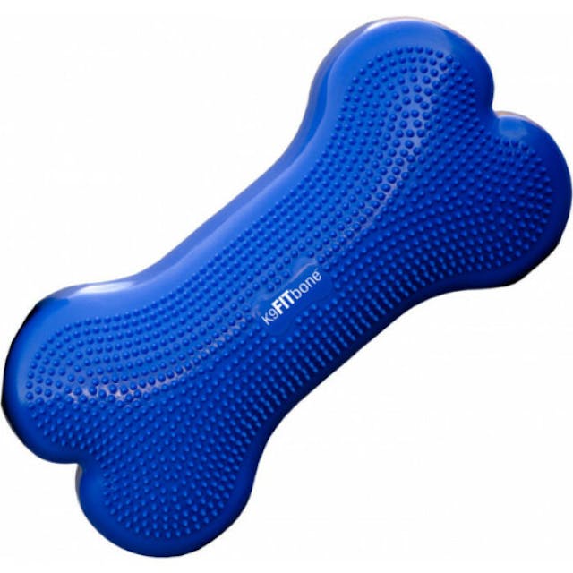 Coussin travail de l'équilibre pour chien Fitbone