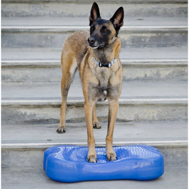 Coussin travail de l'équilibre pour chien Fitbone