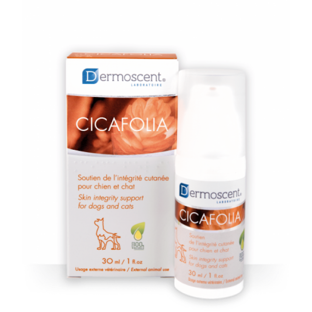 Crème cicatrisante pour chats Dermoscent Cicafolia