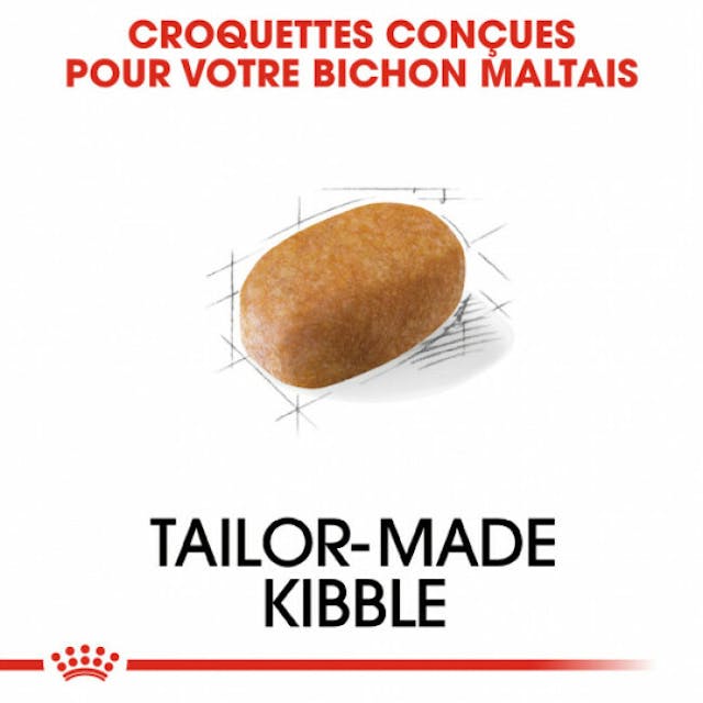 Croquettes pour chien adulte Royal Canin Bichon Maltais