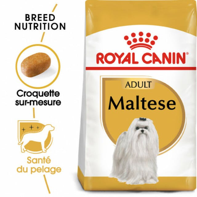 Croquettes pour chien adulte Royal Canin Bichon Maltais