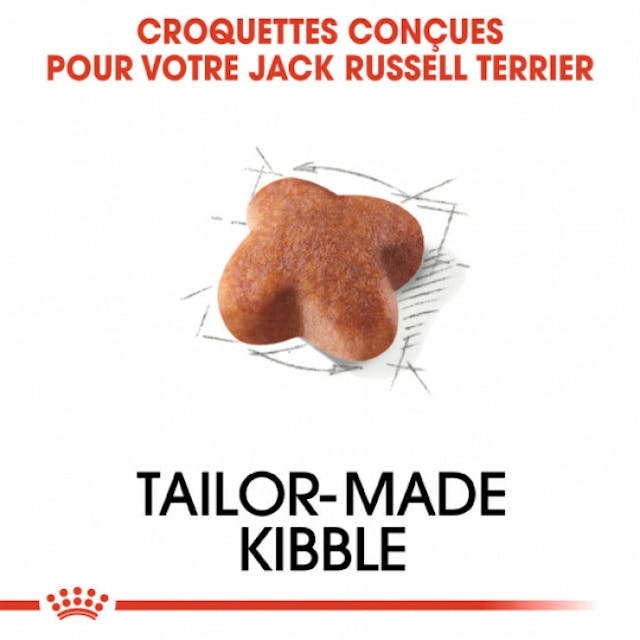 Croquettes pour chien adulte Royal Canin Jack Russel