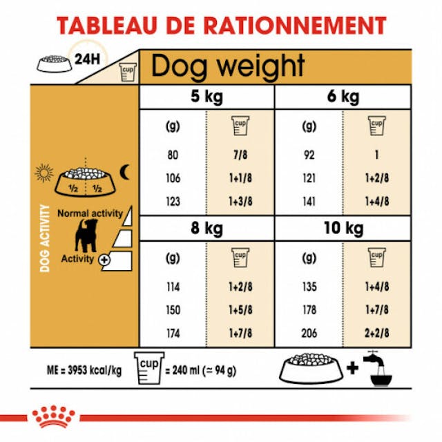 Croquettes pour chien adulte Royal Canin Jack Russel