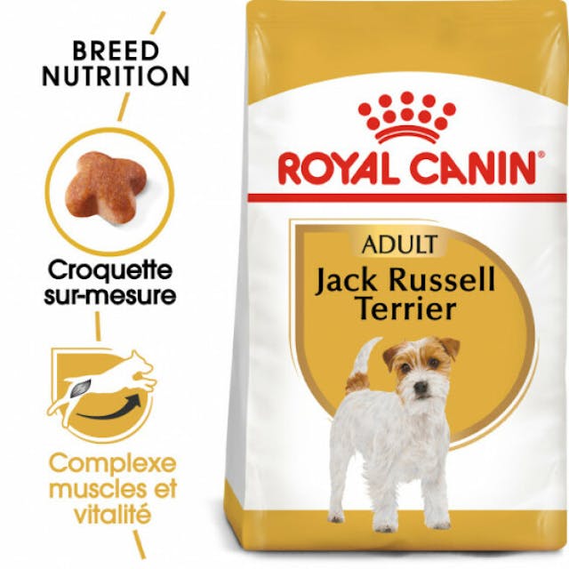 Croquettes pour chien adulte Royal Canin Jack Russel