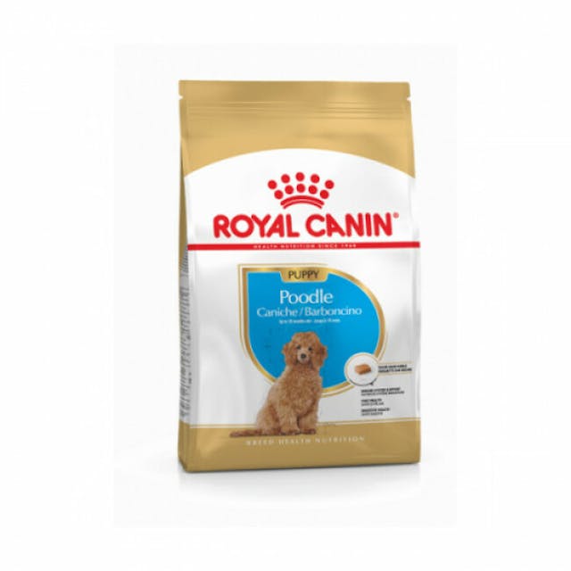 Croquettes pour chien Royal Canin Caniche Junior