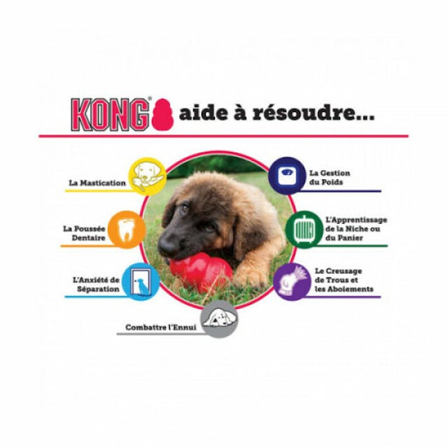 Dental KONG corde pour chien