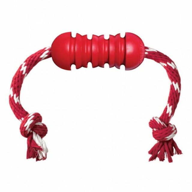 Dental KONG corde pour chien