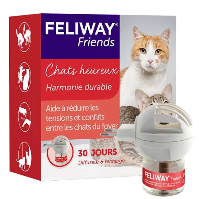 Friends phéromone Feliway pour chat