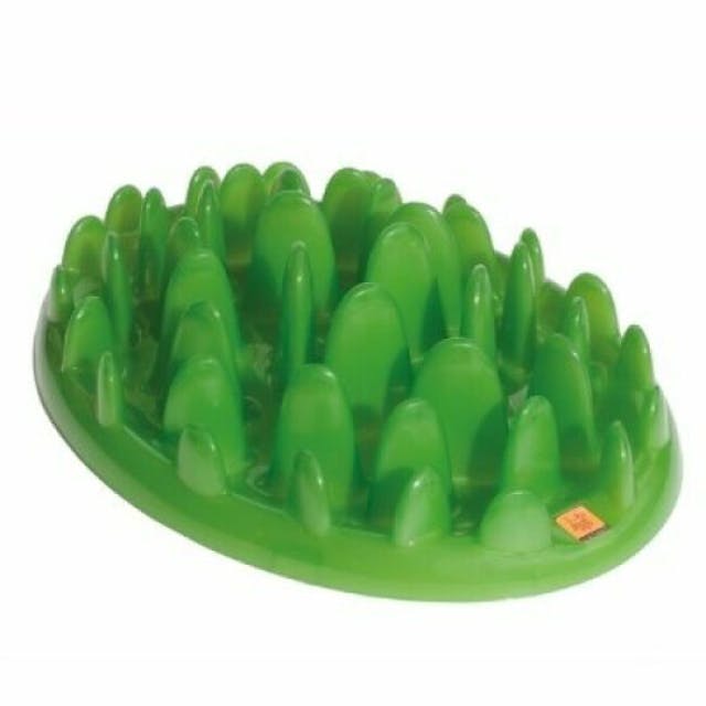 Gamelle anti-glouton GREEN pour chien