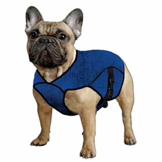 Gilet rafraîchissant bleu pour chien Aqua Coolkeeper