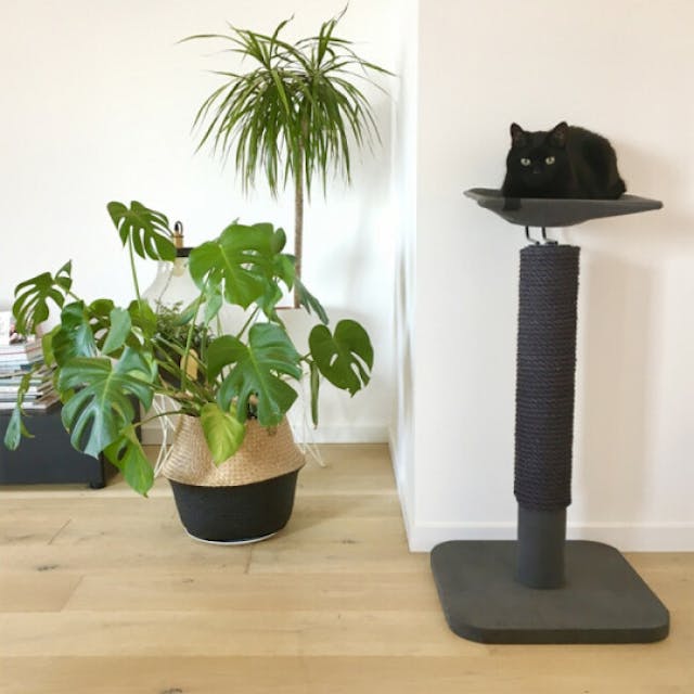 Griffoir design avec hamac pour chat Iwaki hauteur 92 cm